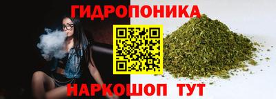 скорость Будённовск