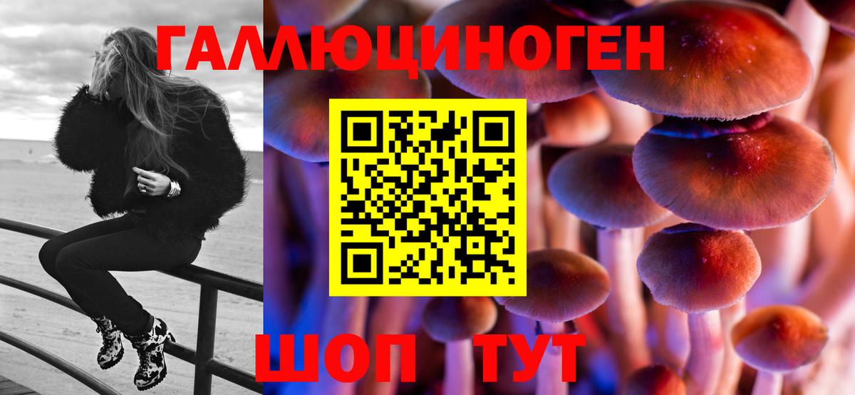 Галлюциногенные грибы GOLDEN TEACHER  Псилоцибиновые грибы мухоморы  Краснокамск  Вход с VPN 