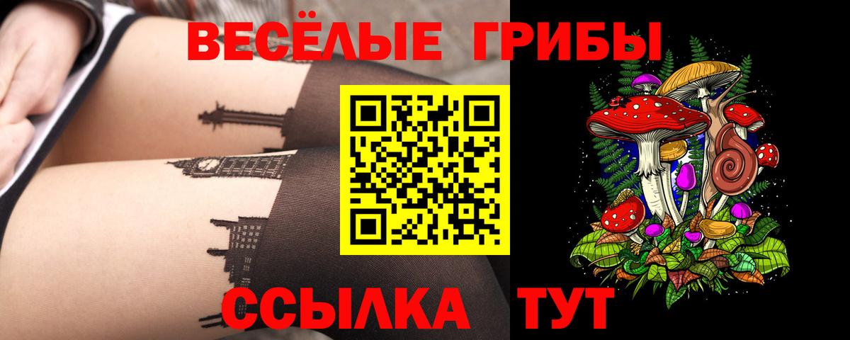Псилоцибиновые грибы Psilocybe Краснокамск